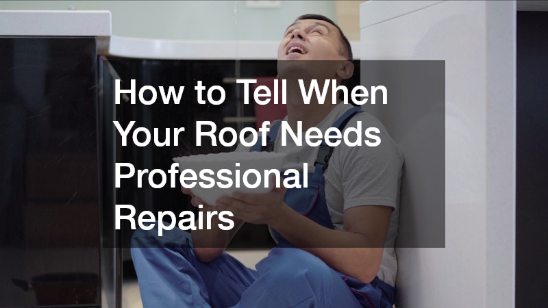 How to Tell When Your Roof Needs Professional Repairs